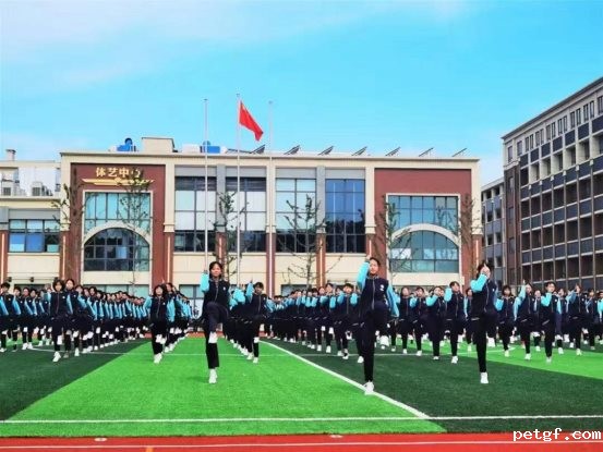 8c17eaa71609cea3d88a25742a33ca7