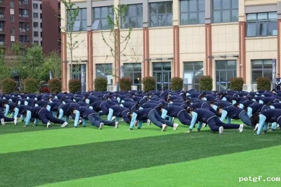 c8100d07419d5badc551e617b1a2667