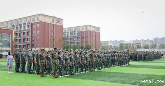 be6487c16baf2142d0e905bd31ec11d3