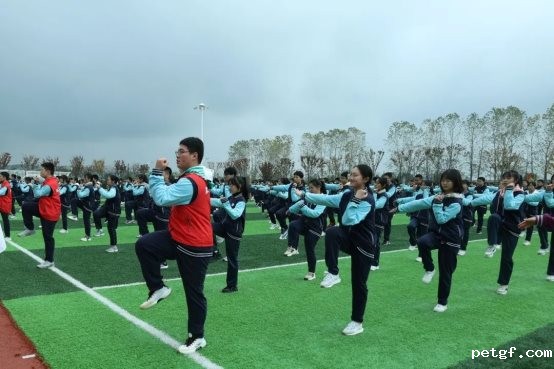 8ce02174cc38939dd65928aa39778f06