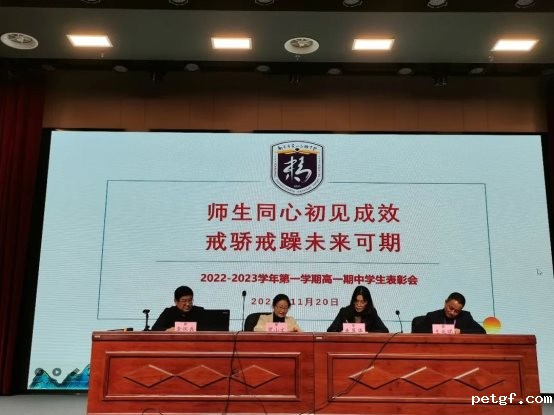 ed60985244f1e53ebe737435fb196710