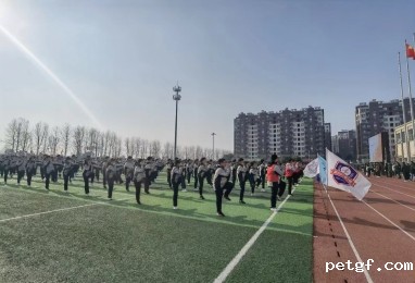 0bf10701e8ffbe77b12b0e445b6c375