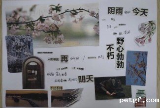 55f075cc3abeaa559043eec8054c055