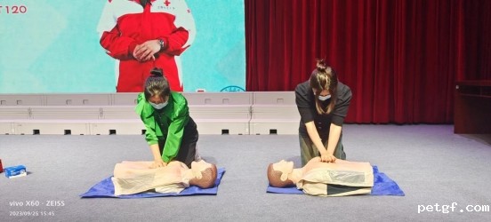 mmexport1695786229484