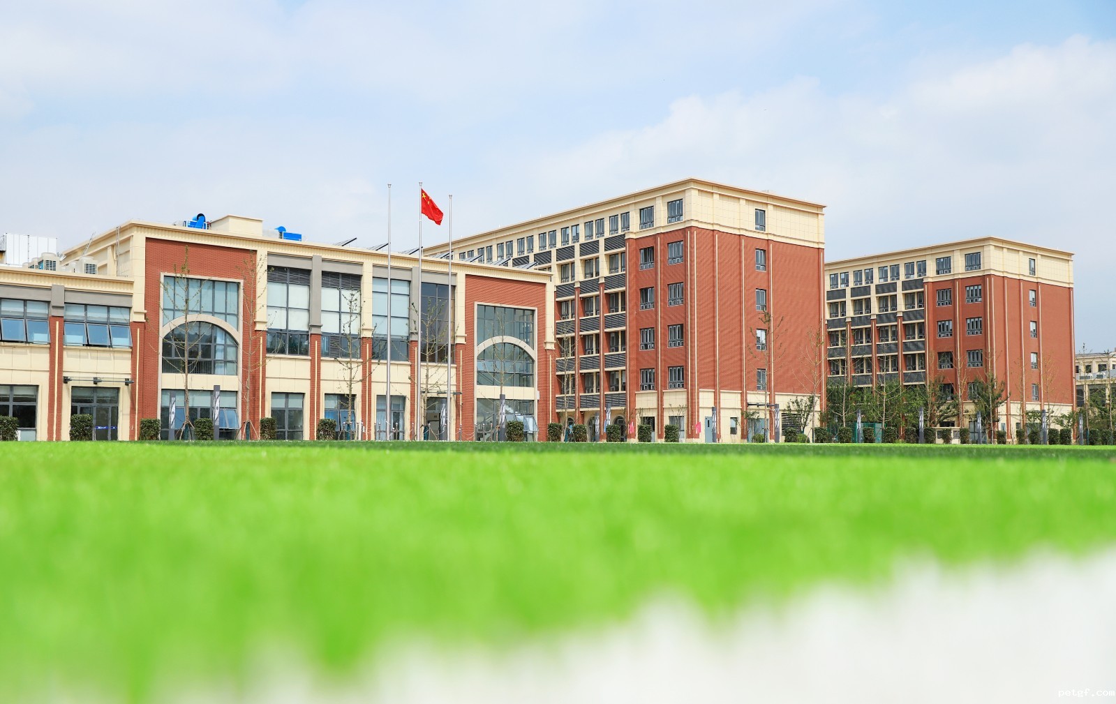 学校操场2.JPG