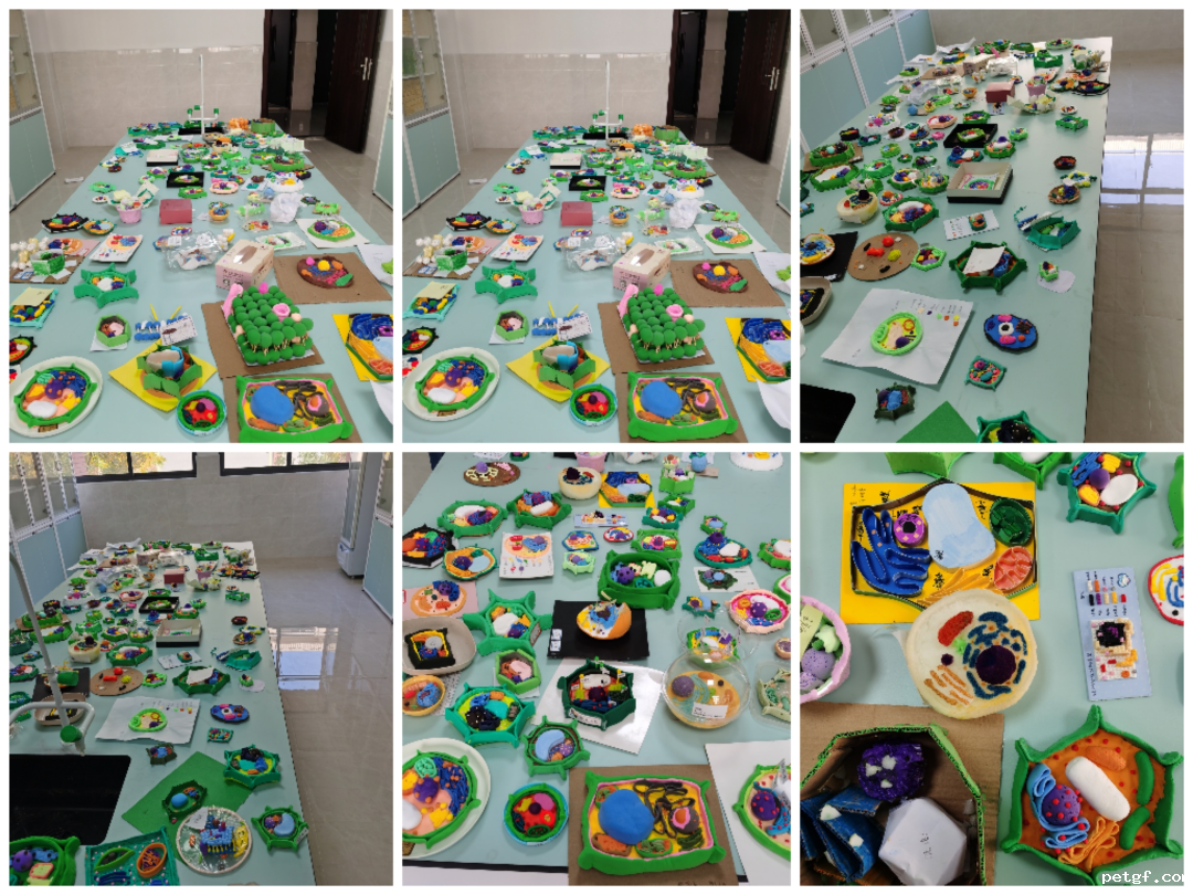 c71ea5e0c2c16e2973f2c435309bf48c.png c71ea5e0c2c16e2973f2c435309bf48c.png