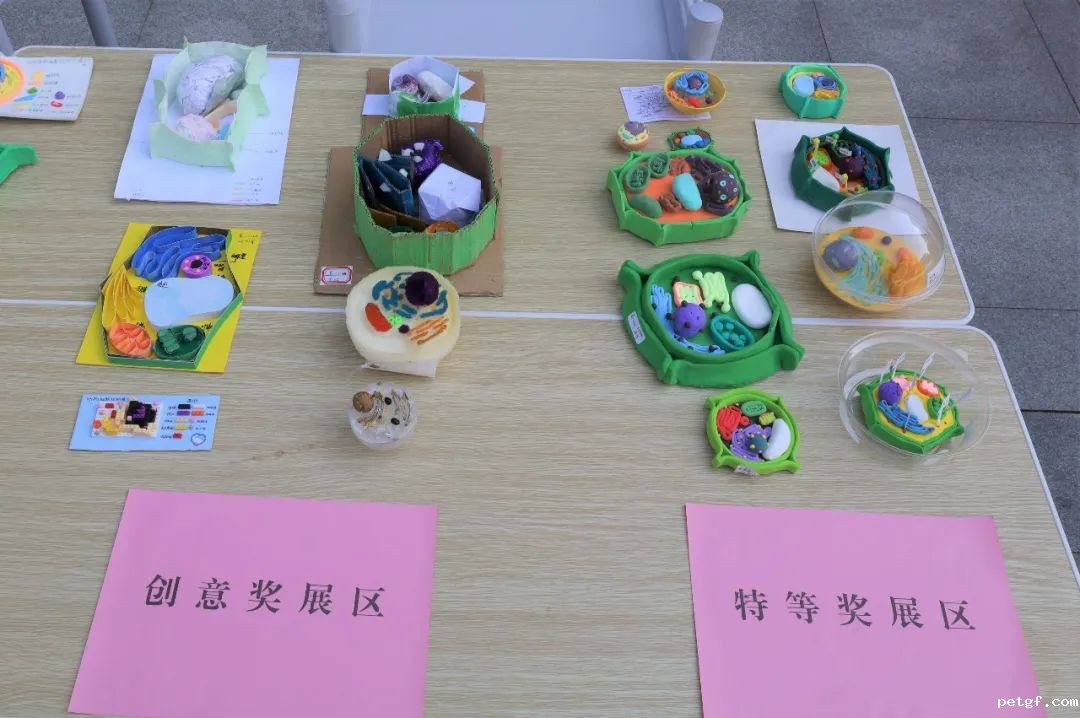 eb2a72bfae533fa4023cf88714ee780f.jpg eb2a72bfae533fa4023cf88714ee780f.jpg