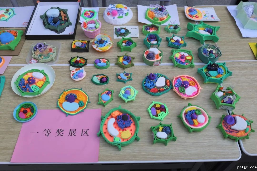 6dbb5b32cf7e9dc25185b8b885a8d612.jpg 6dbb5b32cf7e9dc25185b8b885a8d612.jpg