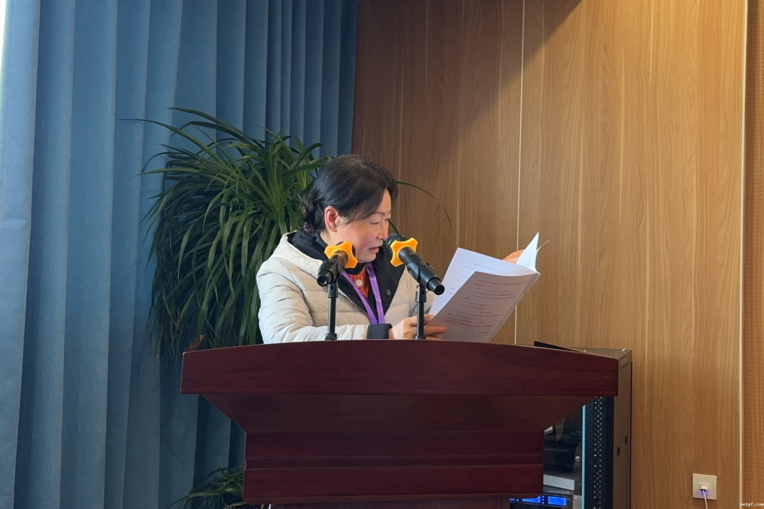 图片13.png 图片13.png